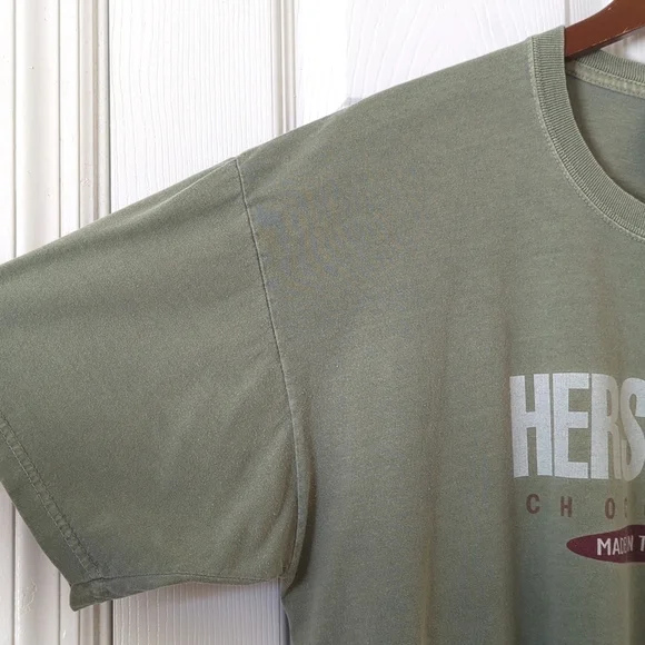 Anvil 2000 Y2K Vintage Hershey's Chocolate Short Sleeve Crewneck T-shirt Sage L - Picture 6 of 10
